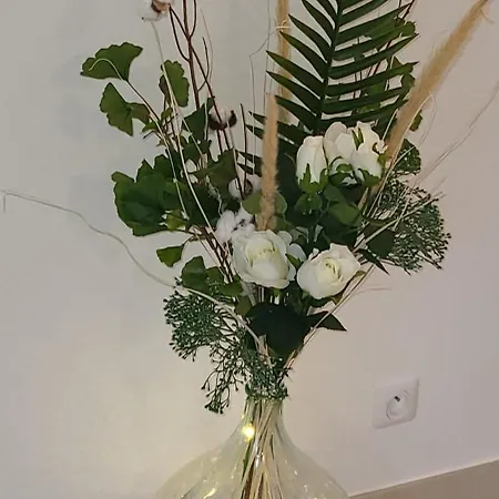 Apartman T2 Centre Ile Rousse *