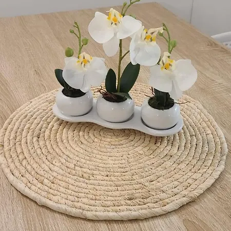 T2 Centre Ile Rousse Appartamento