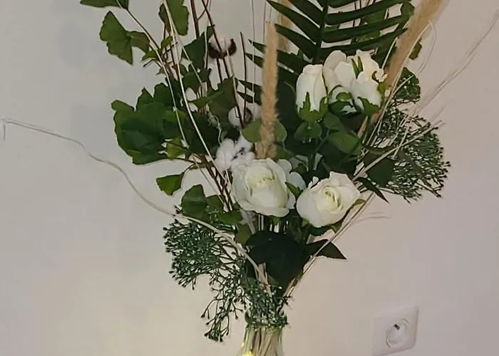 公寓 T2 Centre Ile Rousse *