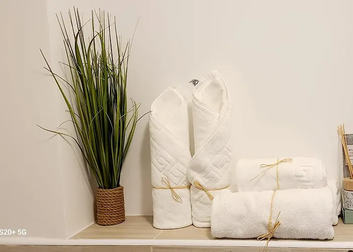 公寓 T2 Centre Ile Rousse