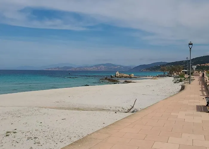 T2 Centre Ile Rousse 公寓 LʼÎle-Rousse