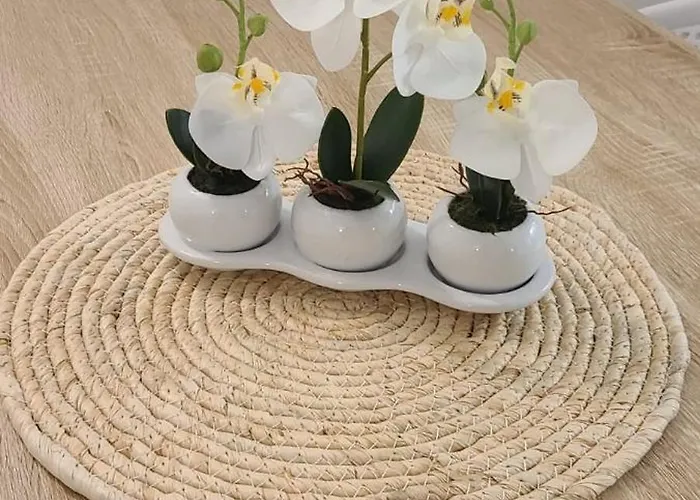 T2 Centre Ile Rousse 公寓